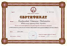 Сертификат Оптимизация налогов 2009